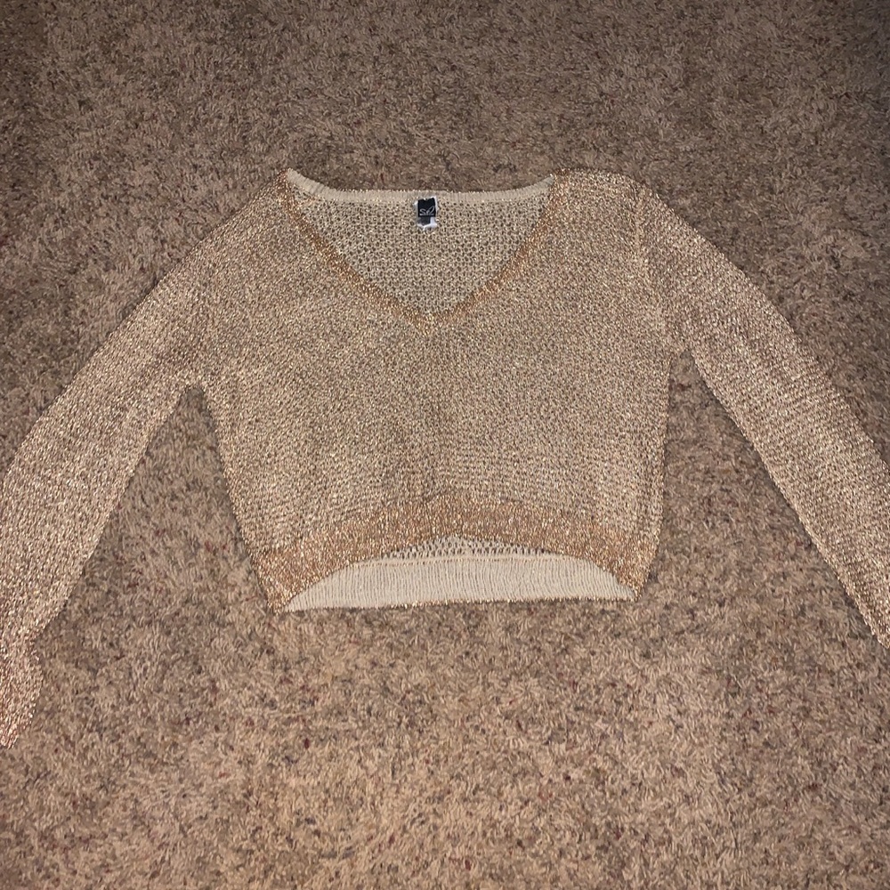Mesh gold sweater!